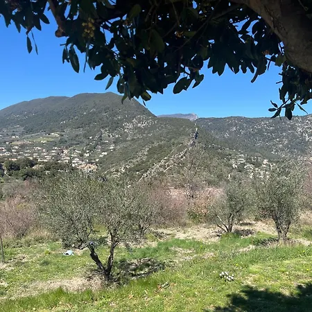 Cabanon Entoure De Montagnes Et D'oliviers نييون